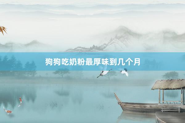 狗狗吃奶粉最厚味到几个月